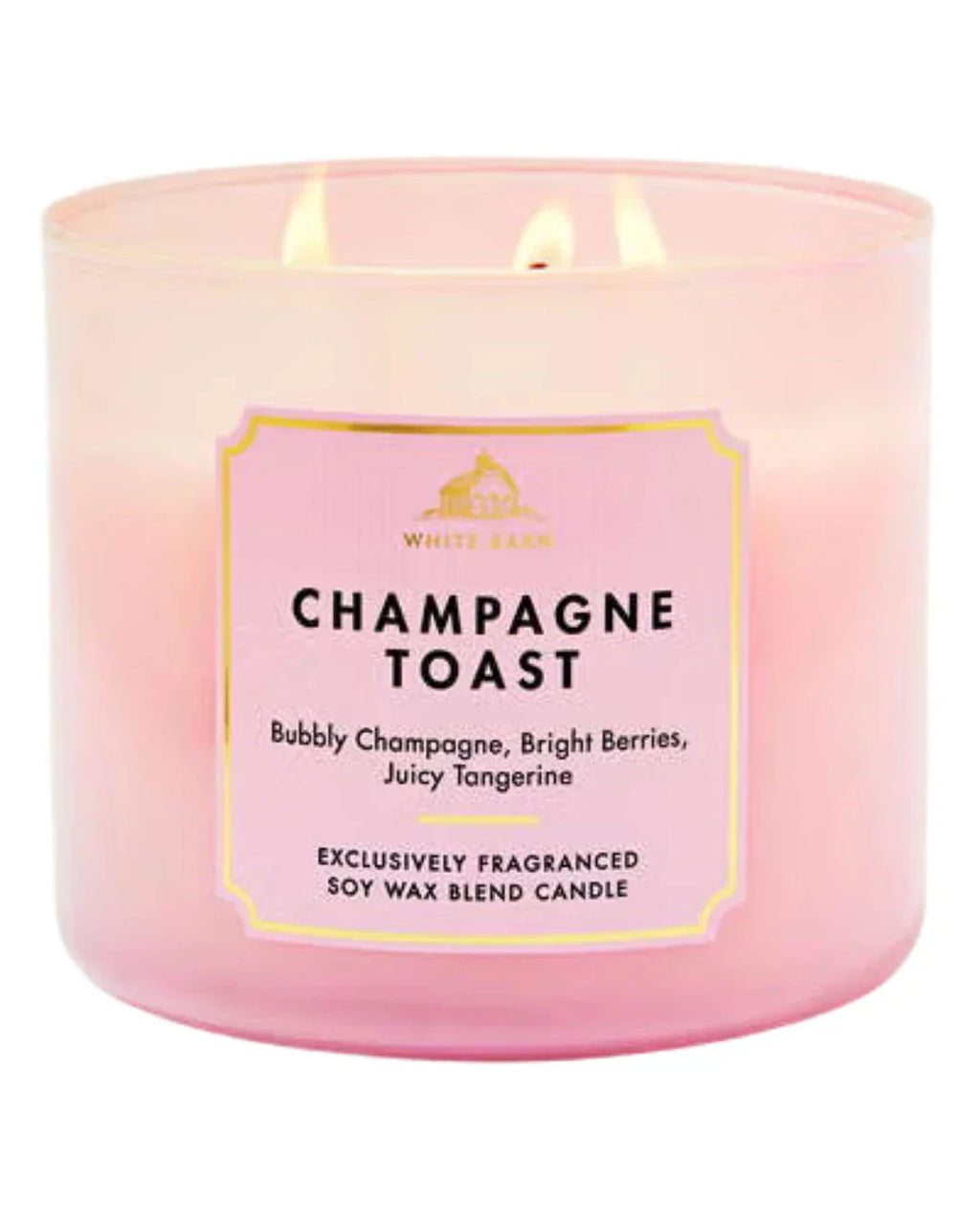 BATH AND BODY WORKS WICK CANDLE 8 - 14.5 oz
